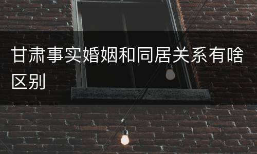 甘肃事实婚姻和同居关系有啥区别