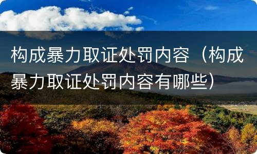 构成暴力取证处罚内容（构成暴力取证处罚内容有哪些）