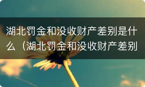 湖北罚金和没收财产差别是什么（湖北罚金和没收财产差别是什么意思）