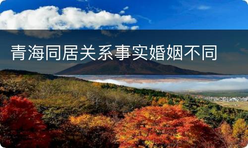 青海同居关系事实婚姻不同