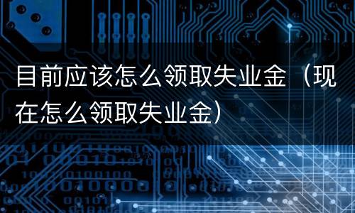 目前应该怎么领取失业金（现在怎么领取失业金）