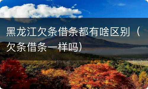 黑龙江欠条借条都有啥区别（欠条借条一样吗）