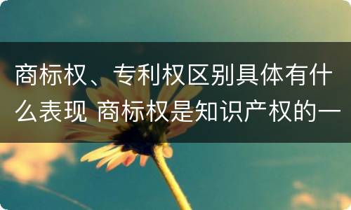 商标权、专利权区别具体有什么表现 商标权是知识产权的一种吗