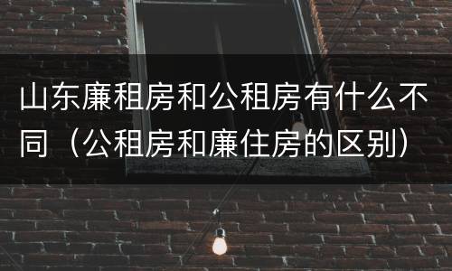 山东廉租房和公租房有什么不同（公租房和廉住房的区别）
