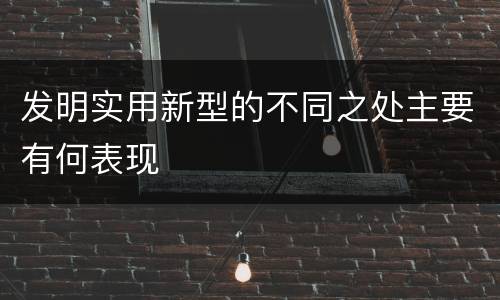 发明实用新型的不同之处主要有何表现