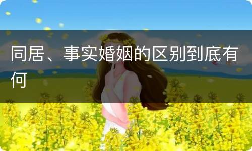 同居、事实婚姻的区别到底有何