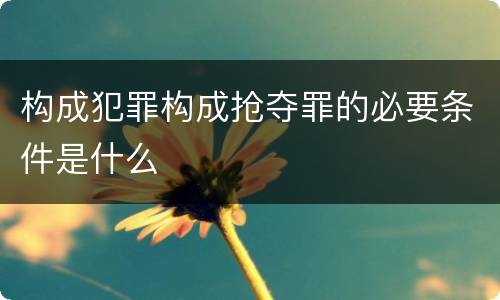 构成犯罪构成抢夺罪的必要条件是什么