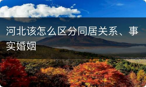 河北该怎么区分同居关系、事实婚姻