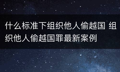 什么标准下组织他人偷越国 组织他人偷越国罪最新案例