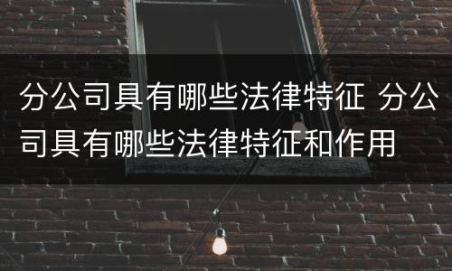 分公司具有哪些法律特征 分公司具有哪些法律特征和作用