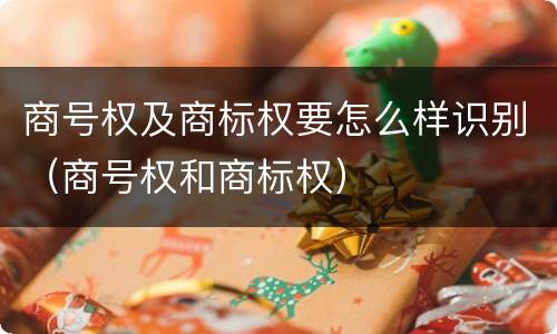 商号权及商标权要怎么样识别（商号权和商标权）