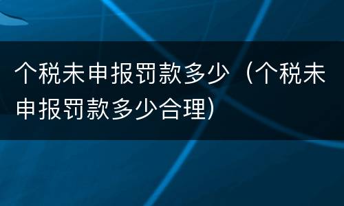 个税未申报罚款多少（个税未申报罚款多少合理）