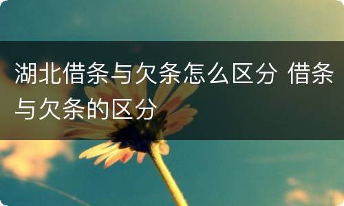 湖北借条与欠条怎么区分 借条与欠条的区分