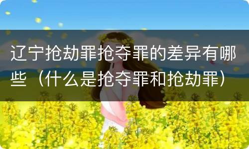 辽宁抢劫罪抢夺罪的差异有哪些（什么是抢夺罪和抢劫罪）