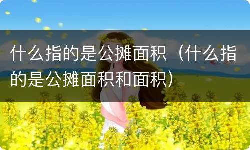 什么指的是公摊面积（什么指的是公摊面积和面积）
