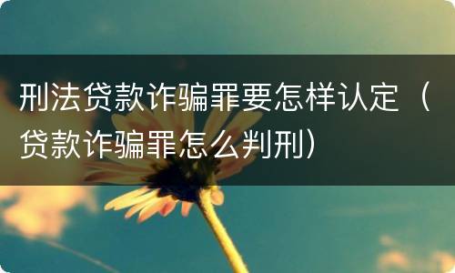 刑法贷款诈骗罪要怎样认定（贷款诈骗罪怎么判刑）