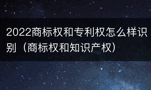 2022商标权和专利权怎么样识别（商标权和知识产权）