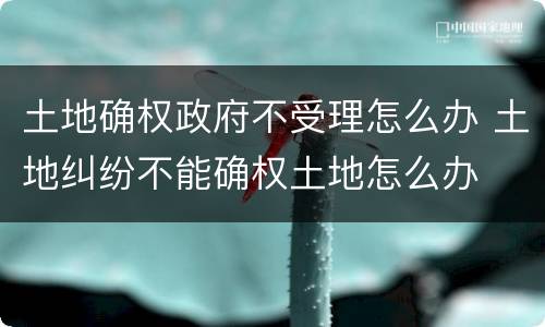 土地确权政府不受理怎么办 土地纠纷不能确权土地怎么办