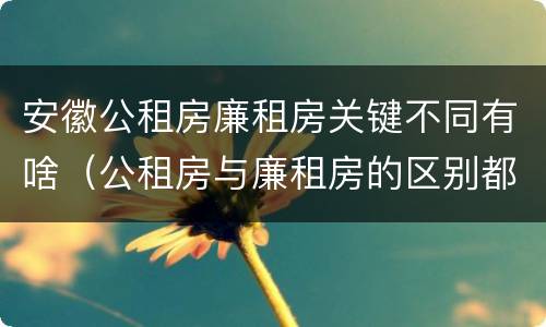 安徽公租房廉租房关键不同有啥（公租房与廉租房的区别都在此,别再搞错了!）
