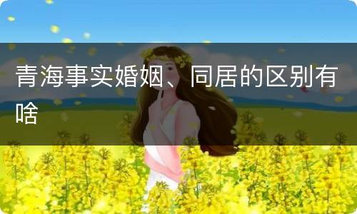 青海事实婚姻、同居的区别有啥