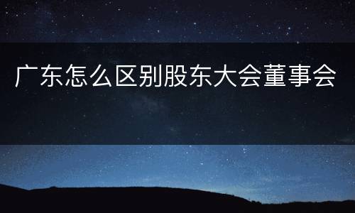 广东怎么区别股东大会董事会
