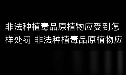 非法种植毒品原植物应受到怎样处罚 非法种植毒品原植物应受到怎样处罚和处罚