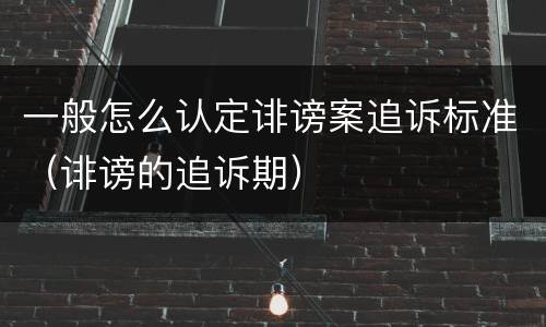 一般怎么认定诽谤案追诉标准（诽谤的追诉期）