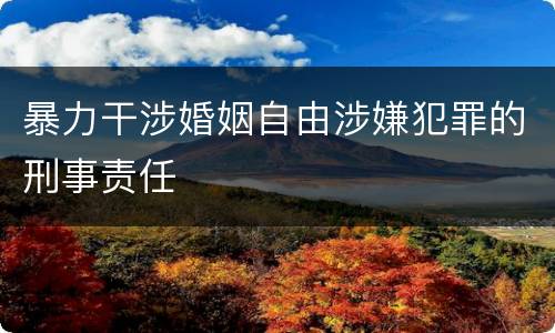 暴力干涉婚姻自由涉嫌犯罪的刑事责任