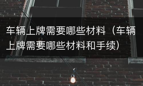 车辆上牌需要哪些材料（车辆上牌需要哪些材料和手续）