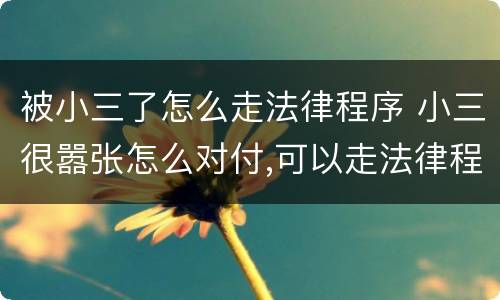 被小三了怎么走法律程序 小三很嚣张怎么对付,可以走法律程序吗