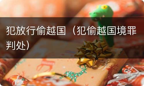 犯放行偷越国（犯偷越国境罪判处）