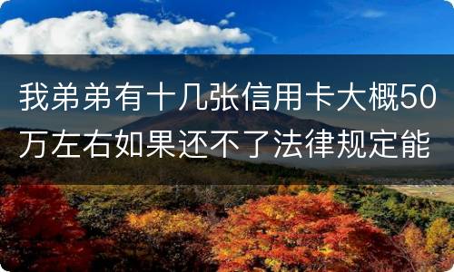 我弟弟有十几张信用卡大概50万左右如果还不了法律规定能判多少年
