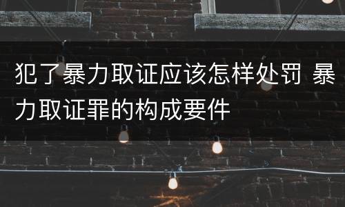 犯了暴力取证应该怎样处罚 暴力取证罪的构成要件