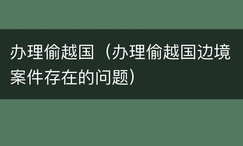 办理偷越国（办理偷越国边境案件存在的问题）