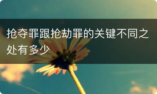抢夺罪跟抢劫罪的关键不同之处有多少