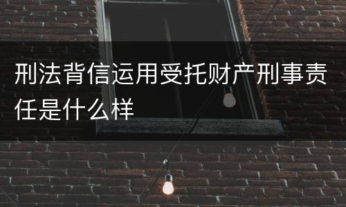 刑法背信运用受托财产刑事责任是什么样