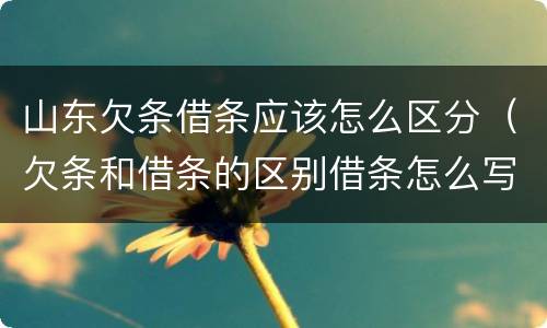 山东欠条借条应该怎么区分（欠条和借条的区别借条怎么写）