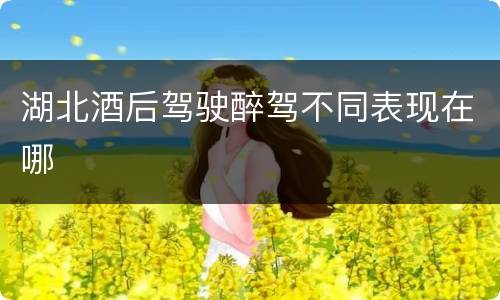 湖北酒后驾驶醉驾不同表现在哪