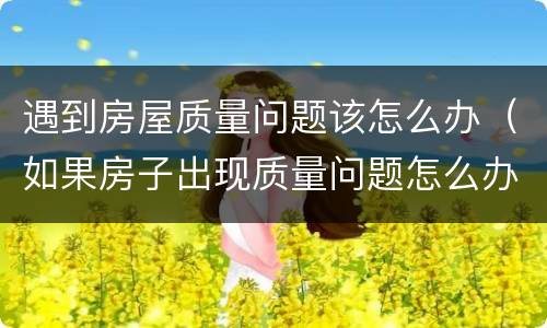遇到房屋质量问题该怎么办（如果房子出现质量问题怎么办）