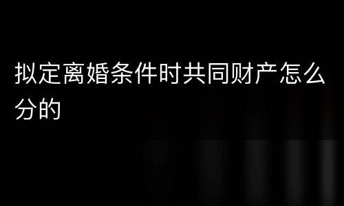 拟定离婚条件时共同财产怎么分的