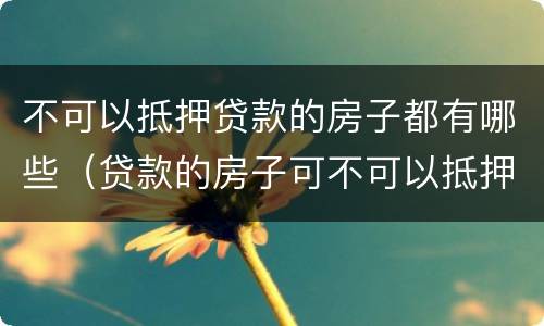 不可以抵押贷款的房子都有哪些（贷款的房子可不可以抵押）