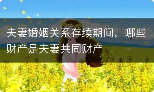 夫妻婚姻关系存续期间，哪些财产是夫妻共同财产