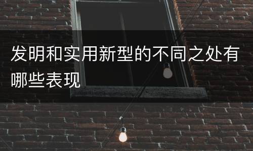 发明和实用新型的不同之处有哪些表现