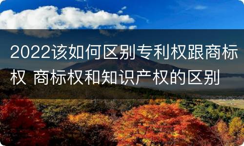 2022该如何区别专利权跟商标权 商标权和知识产权的区别