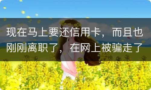 现在马上要还信用卡，而且也刚刚离职了，在网上被骗走了两千块，现在无力去还信用卡，