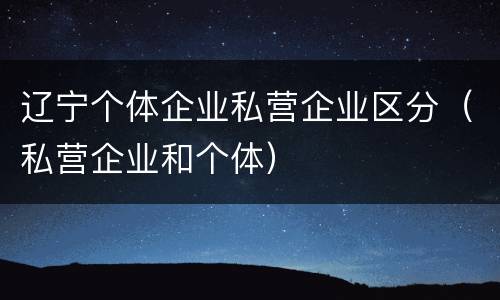 辽宁个体企业私营企业区分（私营企业和个体）