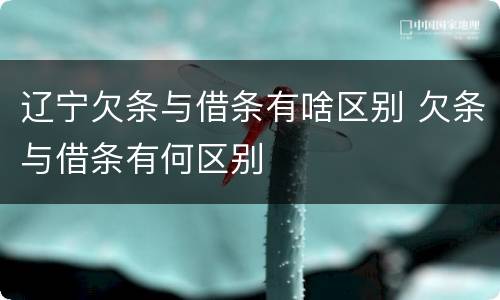 辽宁欠条与借条有啥区别 欠条与借条有何区别