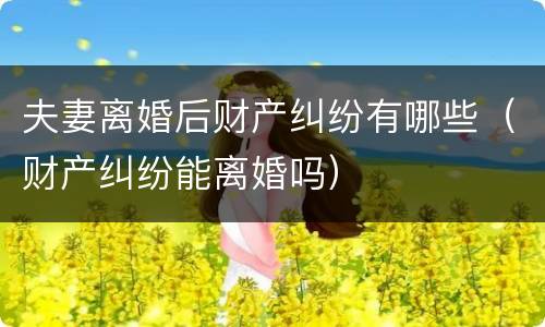 夫妻离婚后财产纠纷有哪些（财产纠纷能离婚吗）