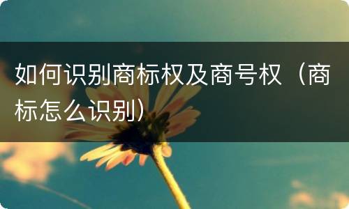 如何识别商标权及商号权（商标怎么识别）