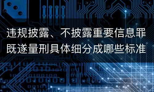 违规披露、不披露重要信息罪既遂量刑具体细分成哪些标准